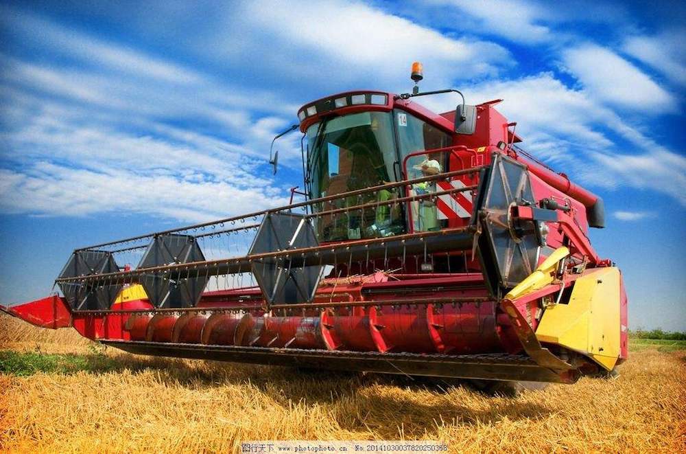 a red and yellow combine harvester is in a field of wheat